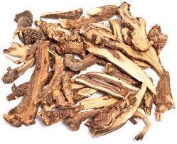 dried roots of Bupleurum Aureum Fisch