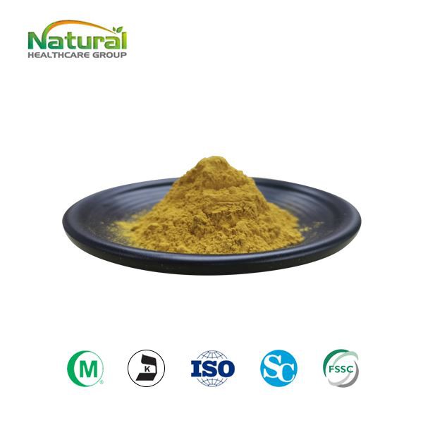Curculigo Orchioides Extract Powder
